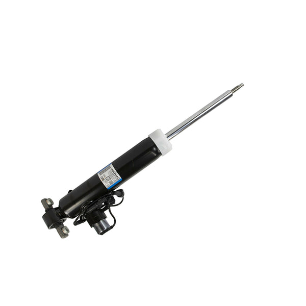 Lincoln MKZ Stoßdämpfer Hinten - A.B.Racing Supension Parts